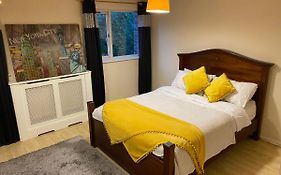 Cheerful King Size Bedroom For Single Use
